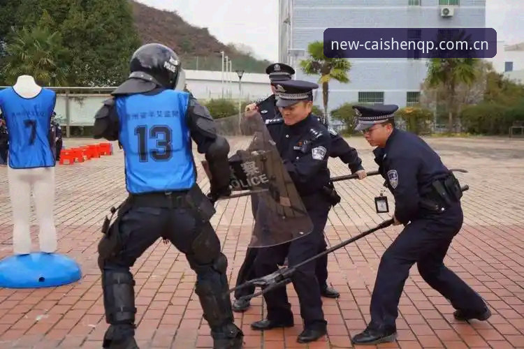 资深用户分享：从世界杯警力安排看大型赛事安保的实战经验